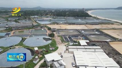 阳江:水产种业工厂化模式 助推海水养殖高质量发展